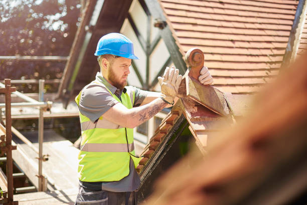 Best Gutter Installation and Roofing  in Genoa, OH
