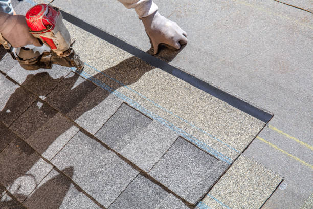 Best Roof Repair Services  in Genoa, OH