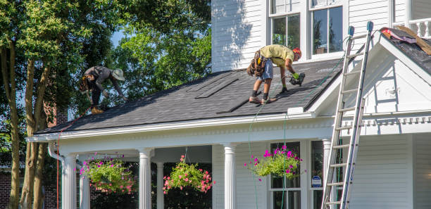 Best Roof Gutter Cleaning  in Genoa, OH